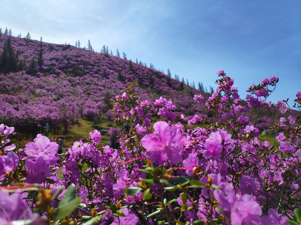 И увлекательно, можно И увлекательно, можно